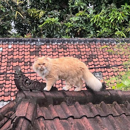 Shalana Homestay- Formerly Teka Teki House スミニャック エクステリア 写真