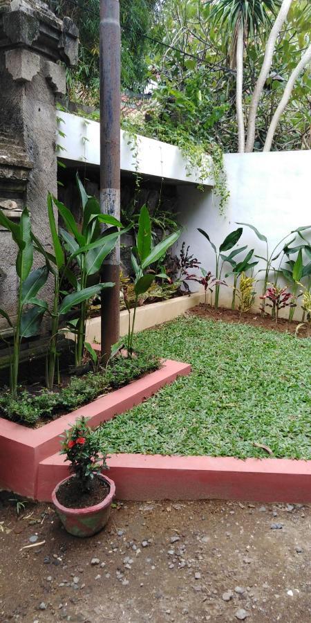 Shalana Homestay- Formerly Teka Teki House スミニャック エクステリア 写真